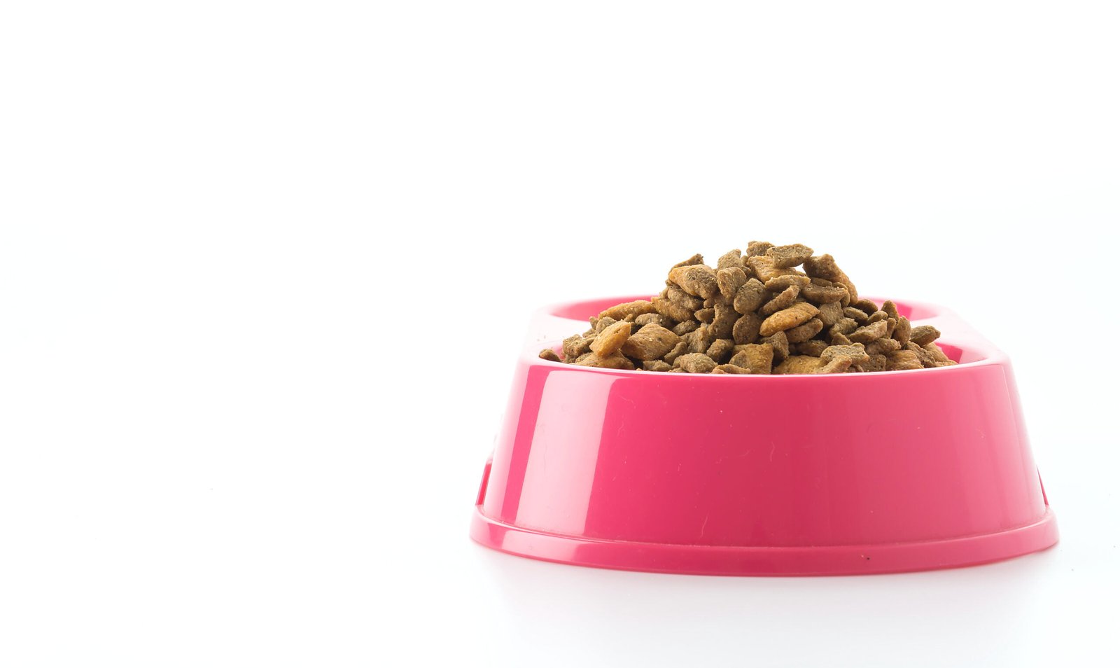 Pet food Business