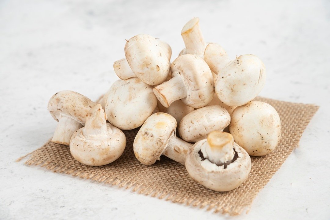 Mushroom Health Benefits and Side Effects
